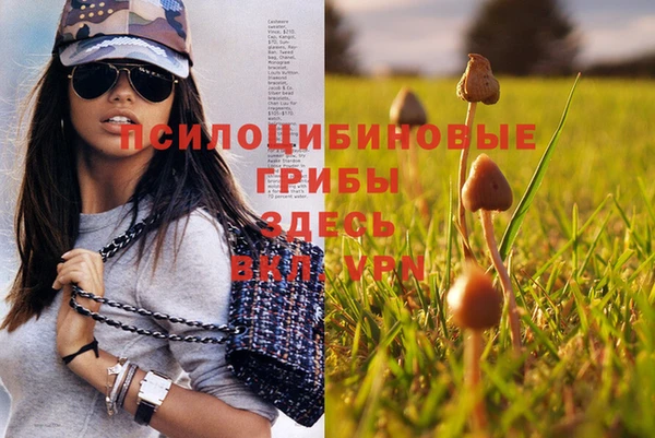 твердый Верея