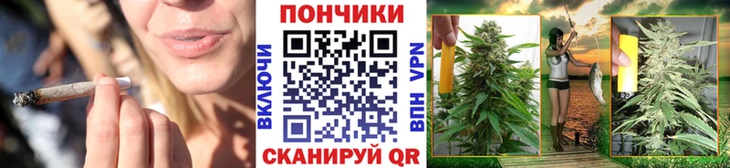 дарнет шоп  Грязи  Бошки марихуана VHQ 